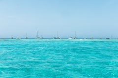 IMG_2372-2