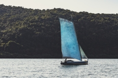 MG_2392-1