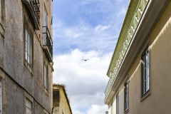 2020_Portugal_Lisboa__mg_9271-2-1