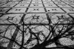 2020_Portugal_Lisboa__mg_9214-scaled